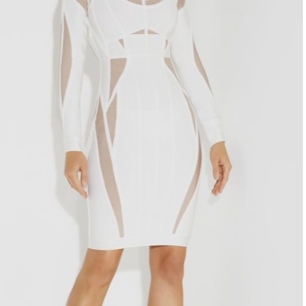 Herve Leger White and Nude Long Sleeve Dress,Run Way. - Picture 3 of 7